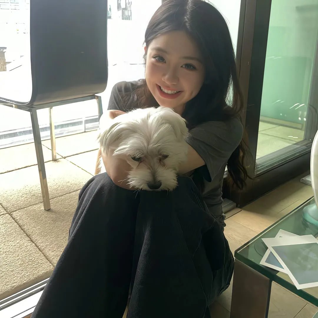 阿尔法 (2019年电影)